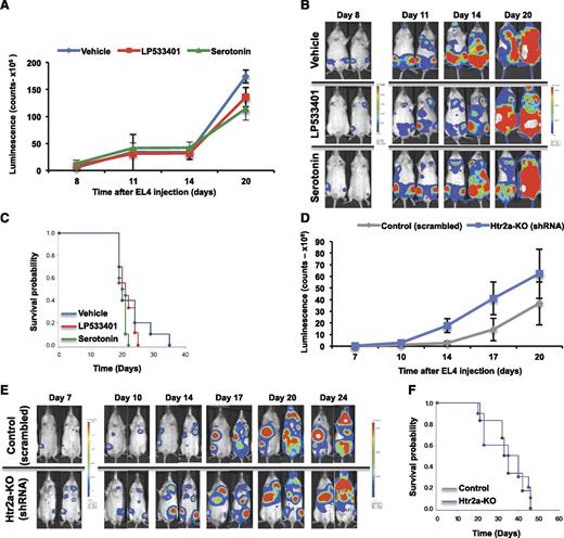 Figure 6. LP533401 hinders leukemia by osteoblast-specific, leukemic blast–independent actions. (A-C) Albino C57BL/6 mice were injected at 2 months of age with EL4-GFP-Luc cells pretreated with serotonin, LP533401, or vehicle for 24 hours. Luminescence intensity at different time points (A), whole body luminescence representative images (B), and overall survival (C) (A-C, n = 9-10 mice per group). (D-F) EL4 cells were infected with either Htr2a shRNA or scrambled shRNA oligos and injected into albino C57BL/6 mice at 3 months of age. Tumor burden and survival were assessed: Luminescence intensity at different time points (D), whole body luminescence images (E), and overall survival (F) (D-F, n = 6-10 mice per group). shRNA, short hairpin RNA.