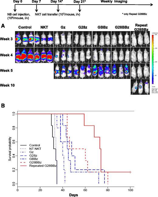 Figure 5. Antitumor activity of CAR.GD2 NKT cells in a metastatic NB model in hu-NSG mice. Three months after human cord blood stem cell transfer, each mouse received IV injection of 106 CHLA-255(ffluc+) NB cells followed by (day 7) injection of 107 CAR.GD2 NKT cells with the indicated constructs. For group “Repeat G28BBz,” additional injections were given on days 14 and 21. (A) Tumor growth was monitored using weekly bioluminescent imaging. Shown are 3 representative of 7 mice per group from 1 of 3 independent experiments. (B) Shown is a representative survival plot from 1 of 3 experiments. Data were analyzed by the Kaplan-Meier method. The differences in survival were then compared using the Gehan-Wilcoxon test.