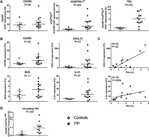 Figure 2. TFH quantification and mRNA expression. (A) The percentage of CXCR5+ among CD3+CD4+, of ICOS+PD-1hi within CD3+CD4+CXCR5+ T cells and the percentage of TFHs defined as CD3+CD4+CXCR5+ICOS+PD-1hi were determined in 6 controls (open circles) and 13 ITP (black squares). Data are summarized in dot plots. (B) CXCR5, CXCL13, BCL6, and IL-21 mRNA expression was quantified by RT-qPCR in total splenic CD4+ T cells of controls (n = 7, open circles) and ITP (n = 12, black squares). Results are expressed as fold change (FC) after normalization on GAPDH expression. Data are summarized in dot plots. The horizontal bar represents the median with interquartile range. P value derived by Mann-Whitney test. (C) The expression of CXCL13 and IL-21 was correlated with TFH percentage measured by FCM. Spearman’s rank correlation coefficient (R) and P value are depicted. Line represents linear regression. (D) Circulating TFH frequency in 5 controls (open circles) and 10 ITP patients (black squares) is summarized in dot plots. The horizontal bar represents the median with interquartile range. P value derived by Mann-Whitney test.