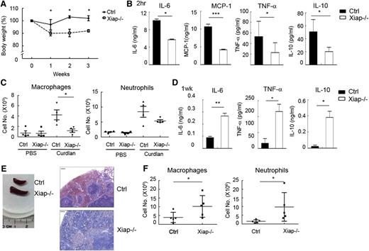 Figure 5. Xiap-deficient mice were unable to resolve the presence of curdlan. (A) Loss of body weight in Xiap−/− mice with weekly treatment of curdlan. Female mice (8-12 weeks old) were primed with intraperitoneal administration of curdlan (5 mg/20 g body weight) every week, and body weight was determined; n = 13. (B) Attenuated inflammatory cytokine production in the Xiap−/− mouse immediately after curdlan immunization. Serum was collected 2 hours after curdlan priming, and the quantity of IL-6, IL-12, MCP-1, and TNF-α was determined; n = 5. (C) Reduced recruitment of macrophages and neutrophils in the Xiap−/− mouse. Peritoneal cavity infiltrates were collected 4 hours after curdlan priming, cell numbers were counted, and the population of macrophages and neutrophils was analyzed by flow cytometry. (D) Enhanced inflammatory cytokines secretion in Xiap−/− mice 1 week after curdlan stimulation. Serum was collected from mice 1 week after immunization of curdlan, and the contents of cytokines were quantitated; n = 5. (E) Curdlan treatment leads to splenomegaly in Xiap−/− mice. Spleens were isolated from control and Xiap−/− mice 7 days after curdlan immunization for comparison. Sections of spleen were stained with hematoxylin and eosin. One representative pair (of 5 pairs) is shown. Bar indicates 50 μm. (F) Increased macrophage and neutrophil infiltration in Xiap−/− mice 1 week after curdlan stimulation. Cells were harvested from the peritoneal cavity in mice from D, and the quantities of macrophages and neutrophils were determined. *P < .05, **P < .01, and ***P < .001 for paired Student t test.