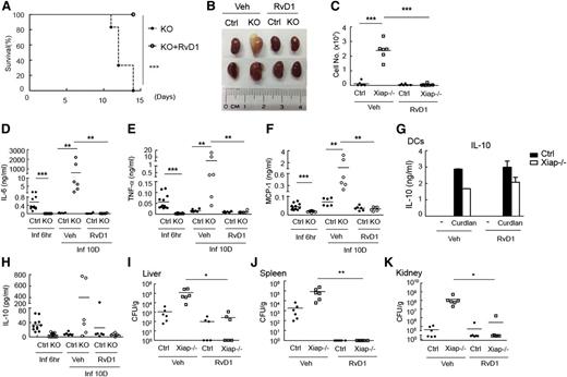 Figure 7. Resolvin D1 effectively rescues Xiap−/− mice from C albicans infection. (A) Resolvin D1 rescues Xiap−/− mice from C albicans infection. C albicans (1 × 105) was intravenously administered to Xiap−/− mice (8-12 weeks old), with or without intravenous injection of RvD1 (100 ng)30-32 3 days later. The survival of mice was monitored and is presented as a Kaplan-Meier survival curve; n = 6. (B) Resolvin D1 restores the normal morphology of kidney from C albicans-infected Xiap−/− mice. WT (Ctrl) and Xiap−/− mice were treated as in A. Infected Xiap−/− mice were euthanized on 30% loss of body weight. Kidneys were isolated from Xiap−/− mice and WT mice infected at the same time. Kidneys shown were representative of 6 mice. (C) Resolvin D1 alleviates kidney neutrophil infiltration in C albicans-infected Xiap−/− mice. Total kidney cells were prepared from kidneys isolated in B, and the fraction of neutrophils was determined. (D-F,H) Resolvin D1 resolves the persistent inflammatory cytokine levels in Xiap−/− mice after C albicans infection. Serum from C albicans-infected mice was collected 6 hours and 10 days after infection, and the levels of (D) IL-6, (E) TNF-α, (F) MCP-1, and (H) IL-10 were determined. (G) Resolvin D1 does not increase IL-10 production. WT and Xiap−/− BMDCs were pretreated with vehicle or resolvin D1 and stimulated with curdlan. Secreted IL-10 was determined 24 hours after activation. (I-K) Resolvin D1 eliminates the fungal burden in Xiap−/− mice infected with C albicans. (I) Livers, (J) kidneys, and (K) spleens were removed form C albicans-infected WT and Xiap−/− mice in day 10. Colony-forming units of C. albicans in each organ was determined. *P < .05, **P < .01, and ***P < .001 for paired Student t test.
