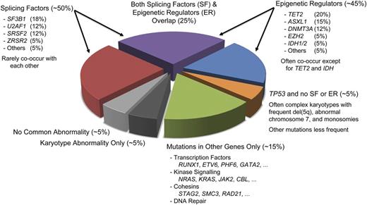 Figure 2. Distribution of recurrent mutations and karyotypic abnormalities in MDS. Clonal cells from ∼50% of MDS patients harbor a splicing factor (SF) mutation, and a similar fraction carry ≥1 mutated epigenetic regulator (ER). Approximately 25% of patients have mutations of genes in both groups. Patients with TP53 mutations often have fewer cooperating mutations and instead have a high rate of chromosomal abnormalities, including frequent complex karyotypes. Many other genes can be comutated with SF and ER genes, but such mutations also occur in the absence of SF or ER lesions in ∼15% of patients. Only approximately 10% of patients lack mutations in any of the common recurrently mutated genes. Fractions estimated from data in Bejar et al, Papaemmanuil et al, and Haferlach et al.47-50