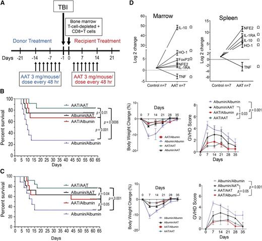 Figure 2. Effects of AAT treatment of donor, recipient, or both on GVHD and posttransplant outcome. (A) Treatment scheme for both donor (blue) and recipient (red). (B) Results with C3H.SW (H-2b) donors and C57BL/6 (H 2bc) recipients (minor mismatch) and (C) results with C57BL/6 (H-2bKb) donors, and Balb/c (H-2d Kd) recipients (major mismatch). Either donor (AAT/albumin) or recipient (albumin/AAT), both (AAT/AAT) or neither (albumin/albumin) were treated with AAT; albumin served as control. Left panels show survival; middle and right panels show body weight changes and GVHD scores (n = 12 for each transplant condition). (D) Changes in cytokine levels in donor marrow and spleen following AAT treatment relative to albumin controls (determined by RT-PCR; n = 7 mice per group). Results are expressed as mean ± SEM (log2) from pooled tissue extracts (marrow and spleen preparations). Ω indicates P values of at least = .01 when compared with albumin-treated control cells.