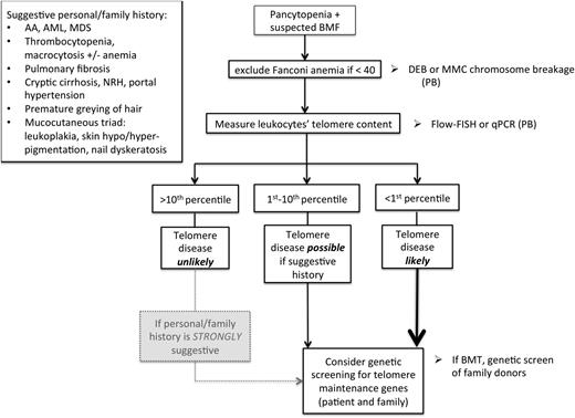 Figure 3. Diagnostic algorithm for germline telomere diseases. Mean telomere content should be done in all patients with suspected bone marrow failure from peripheral blood after Fanconi anemia was ruled out in patients under the age of 40 years. Mean telomere content normalized to age-matched controls can be suggestive of telomere disease if below the first percentile or if associated with a strong family history, warranting genetic testing for inherited mutations in telomere maintenance genes. Leukocytes’ telomere content should be interpreted with caution in patients with leukemia (blasts have short telomeres), MDS, and in individuals who have received chemotherapy. If flow-FISH testing is used, the lymphocyte subsets are more accurate than granulocytes. BMF, bone marrow failure; BMT, bone marrow transplant; DEB, deopxybutane; MMC, mitomycin C; PB, peripheral blood.