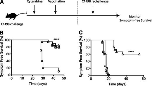Figure 7. Vaccination following chemotherapy protects against leukemic rechallenge. (A-B) Mice were challenged with C1498 cells, and 24 hours later, three 3-mg doses of cytarabine were administered intraperitoneally 10 hours apart. On day 23, 1 group of chemotherapy-treated mice were administered the leukemia/α-GalCer vaccine, and symptom-free survival was monitored. (A,C) Surviving mice were rechallenged on day 45 with a fivefold increased dose of 5 × 105 viable C1498 cells, and symptom-free survival was again followed. Symbols represent treatment groups: leukemia only (○), n = 10; cytarabine treatment (□), n = 19; and cytarabine plus α-GalCer vaccination (△), n = 20. (B-C) Represent 2 experiments. ****P < .0001 (log-rank Mantel-Cox test).