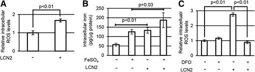 Figure 4. Lipocalin-2 induces oxidative DNA damage by elevating intracellular iron levels. (A) Intracellular levels of ROS in 32D cells were measured by H2DCFDA dye assay following their incubation with or without 100 ng/mL recombinant lipocalin-2 for 24 hours. Average mean FITC fluorescence intensity is shown (n = 3 each). (B) Intracellular iron levels of 32D cells with or without treatment with 100 ng/mL lipocalin-2 with or without 1 mM FeSO4. The total cellular iron content was measured by the ferrozine method and normalized for protein content. (C) 32D cells were treated with 100 ng/mL lipocalin-2 and/or 2 μM deferoxamine (DFO). Intracellular ROS levels were measured by H2DCFDA dye assay 24 hours after incubation (n = 4 each). Error bars indicate SD.