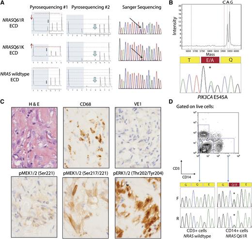 Figure 1. NRAS and PIK3CA mutations in ECD histiocytes and CD14+ cells from peripheral blood. (A) Detection of NRAS p.Q61 mutation by pyrosequencing (first 2 columns) and confirmation by Sanger sequencing (third column). The lower pyrogram corresponds to an NRAS–wild-type ECD case, and the 2 others correspond to patients with NRAS mutations. Mutants are detectable with the appearance of a new peak at the first C injection (gray arrows), and size variation of the peak at the first T injection compared with the second C injection (red arrows and dashed line). Pyrosequencing with another sequence of injection (ESGTTACTCAGTCAGCT) was used to further identify the mutations (middle column) as c.181C>A mutations. (B) Detection of PIK3CA E545A mutation by Sequenom and Sanger sequencing in an NRAS/KRAS/BRAF–wild-type ECD patient. (C) Phosphorylated MEK (pMEK) and ERK (pERK) detected by immunohistochemistry in BRAFV600E–wild-type, NRAS-mutant ECD. Histiocytes (noted by hematoxylin and eosin and CD68 stain) failed to stain for BRAFV600E VE1 monoclonal antibody but had high cytoplasmic expression of pMEK1/2 with 2 different antibodies as well as cytoplasmic and nuclear expression of pERK1/2 (original magnification ×600). (D) Genotyping of CD14+ monocytes and CD3+ T cells purified from the peripheral blood of an NRASQ61R-mutant ECD patient with double-FACS sorting reveals the presence of NRAS mutation in CD14+ cells but not in T cells.