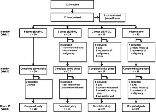 Figure 1. Subject disposition. gE/AS01B, glycoprotein E/liposome-based adjuvant (50 µg MPL, 50 µg QS21); gE/AS01E, glycoprotein E/liposome-based adjuvant (25 µg MPL, 25 µg QS21); SAEs, serious adverse events. *Four subjects (2 in the gE/AS01E and 2 in the saline groups) with confirmed HZ were included in the safety analysis but were excluded from the immunogenicity analyses at month 15.