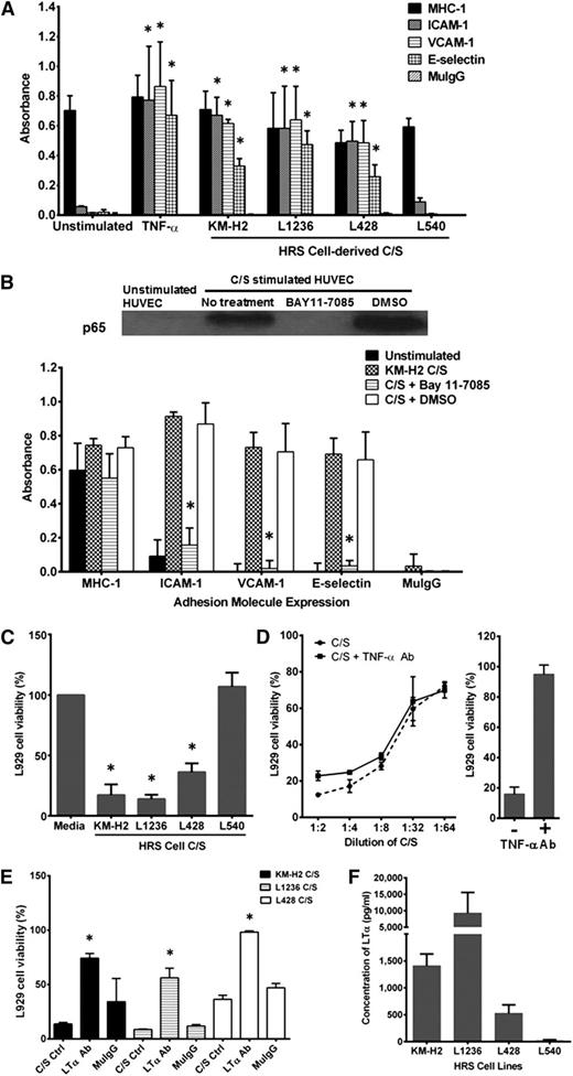 Figure 1. HRS cell-derived LTα-induced upregulation of adhesion molecule expression in HUVECs is dependent on NF-κB activation. (A) Incubation of HUVECs with C/S from KM-H2, L1236, and L428 cells but not L540 cells for 4 hours induced upregulation of ICAM-1, VCAM-1, and E-selectin to levels comparable to that seen with TNF-α–stimulated HUVECs. C/S-activated HUVECs incubated with purified mouse IgG (MuIgG) and anti-MHC class I mAb were used, respectively, as negative and positive controls. (B) (Upper) Enhanced p65 nuclear translocation in C/S-stimulated HUVECs is completely inhibited by pretreatment of the HUVEC monolayer with 20 μM Bay11-7085 for 30 minutes before C/S stimulation. (Lower) Bay11-7085 pretreatment also prevented the upregulation of ICAM-1, VCAM-1, and E-selectin expression on C/S-stimulated HUVECs. (C) Although C/S derived from KM-H2, L1236, and L428 exhibits significant cytotoxicity in L929 cells, L540-derived C/S did not induce any L929 cell death. (D) (Left) Neutralization of TNF-α in KM-H2 C/S did not improve L929 cell viability, (right) although the dosage used can effectively neutralize 10 ng/mL of recombinant TNF-α in vitro. (E) Neutralization of LTα in the various HRS cell-derived C/S successfully reduced their cytotoxic effects in L929 cells compared with untreated C/S and MuIgG-treated C/S. (F) The highest concentration of LTα was detected in L1236 C/S, whereas negligible amounts of LTα were present in L540-derived C/S. Values shown are mean ± standard error of the mean (SEM) from 3 experiments. *P ≤ .05 compared with unstimulated control or C/S-stimulated HUVECs for A and B; *P ≤ .05 compared with untreated C/S for C-F. Western blot is representative of 3 independent experiments.
