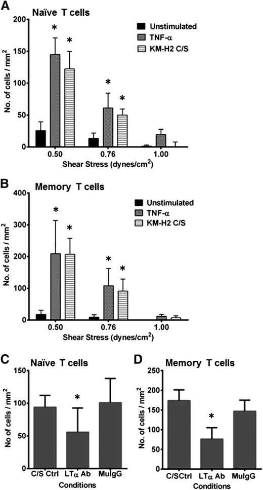 Figure 2. HRS cell C/S-stimulated HUVECs show enhanced T-cell interactions under flow. Both (A) CD4+ CD45RA+ naïve T cells and (B) CD4+ CD45RO+ memory T cells bind to KM-H2 C/S-stimulated HUVECs in a shear stress-dependent manner (stripe bar). The respective numbers of interacting cells is comparable to that seen with TNF-α–stimulated HUVECs (dark gray bar). Very few T cells bind to unstimulated HUVECs (black bar). Neutralization of LTα in the C/S prior to use in stimulating HUVECs resulted in a significant reduction in the numbers of interacting (C) naïve and (D) memory T cells at the shear stress of 0.76 dynes/cm2. The live time cell-cell interactions were video recorded using a CCD camera and VCR (SVT-N24P; Sony), and analysis was carried out offline. Values shown are mean ± SEM from 3-5 experiments. *P ≤ .05 compared with unstimulated HUVECs for A and B; and compared with C/S-stimulated controls for C and D.