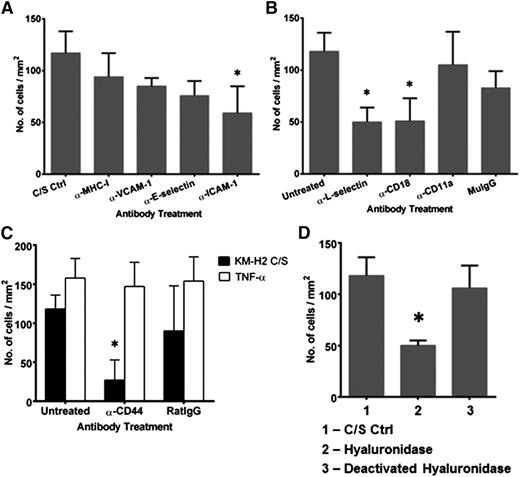 Figure 3. Binding of naïve T cells to KM-H2 C/S-stimulated HUVECs is mediated by β2-integrin-ICAM-1 and CD44-hyaluronan interactions. C/S-stimulated HUVECs or naïve T cells were treated with function blocking mAbs for 30 and 10 minutes, respectively, prior to use in flow experiments. (A) Blocking of ICAM-1, but not VCAM-1 and E-selectin, expressed on C/S-stimulated HUVECs significantly inhibited naïve T-cell interactions. Treatment of C/S-stimulated HUVECs with mAb against MHC class I molecules was used as the binding nonblocking control. (B) Blocking of CD18 and L-selectin on the naïve T cells significantly reduced the interaction between the T cells and C/S-stimulated HUVECs. Naive T cells treated with purified mouse IgG (MuIgG) was used as the negative control. (C) Blocking of CD44 inhibited naïve T-cell interactions with C/S-stimulated HUVECs but had no effect on their interactions with TNF-α–stimulated HUVECs. Naïve T cells treated with purified rat IgG (RatIgG) was used as the negative control. (D) Treatment of C/S-stimulated HUVECs with hyaluronidase (50 µg/mL for 1 hour) resulted in a significant reduction in the number of interacting naïve T cells. Treatment with deactivated hyaluronidase was used as the vehicle control. Values shown are mean ± SEM from 3 different experiments. *P ≤ .05 compared with untreated controls. The clones of the mAb used are ICAM-1 (clone Hu5/3), VCAM-1 (clone E1/6), E-selectin (clone H18/7), CD18 (β2-integrin, clone LIA1/2), CD11a (clone HI111), CD44 (clone IM7), and L-selectin (clone DREG56).