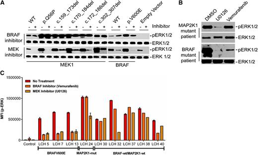 Figure 4. Specific LCH mutations have differential sensitivity to BRAF and MEK inhibitors. (A,B) HE293 cells transiently transfected with expression plasmids encoding various cDNAs (A) or c.302_307del MAP2K1 lesion biopsy cell suspension (B) were treated with BRAF or MEK inhibitor for 1 hour, and corresponding lysates were subjected to immunoblotting with the indicated antibodies. (C) Median fluorescent intensity (MFI) of p-ERK1/2 in CD207+ cells determined through IFC analyses in patients harboring BRAFV600E (patients LCH5, LCH7, and LCH13) and MAP2K1 c.302_307del (patient LCH24) mutations, and patients with no somatic mutations (LCH30, LCH32, LCH37, LCH38, and LCH40) posttreatment with BRAF or MEK inhibitor.