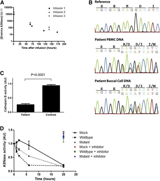 Figure 1. A mutation in the gene encoding cathepsin B in a patient with strongly reduced metabolism asparaginase. (A) Pharmacokinetics of Erwinase serum levels indicate a strongly delayed metabolism of ASNase in this patient. The half-life (ln2/Kel) of 28.5 hours (normal 7-15 hours5) was calculated using best-fit nonparametric modeling of the data points. (B) DNA sequencing of the cathepsin B gene reveals a heterozygous deletion of a single codon (c.709_711delAAG) in DNA isolated from PBMCs and buccal cells of the patient. (C) Cathepsin B activity in lysates of EBV-transformed B cells of the patient (carrying the mutation) and age-matched controls (N = 5) was determined by measuring cleavage of the fluorescent substrate Ac-RR-AFC. The plot shows an average of 2 experiments with standard deviation. One of the control samples was set to 1, and all samples were correlated to this sample. Unpaired 2-tailed t test was used to determine significance. (D) ASNase was incubated in lysate of HEK293 cells expressing wild-type or mutant cathepsin B. After incubation, residual ASNase activity was assayed as described in the supplemental Methods section. Cathepsin inhibitor CA-074 was included in selected samples to confirm the contribution of cathepsin B in this degradation. The plot shows an average of 3 independent experiments with standard error of the mean. Analysis of variance statistical analysis was applied to test for significance.