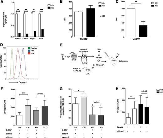 Figure 4. Heparan sulfate modulates Vcam1-dependent adhesion. (A-D) Expression of niche-related molecules in Mx1+ cells. (A) Real-time polymerase chain reaction for Vcam1, Cxcl12, Angpt1, and Scf1. (B) Cxcl12 protein level quantification in CD45− Ter119− Mx1+ stromal cells from control and mutant Ext1 mice. (C) Vcam1 protein level quantification and (D) representative histogram of Vcam1 protein levels in CD45− Ter119− Mx1+ stromal cells from control and mutant Ext1 mice. (E-H) Functional evaluation of Vcam1 in Mx1+ cells. (E) Overview of the experimental design. (F) Number of circulating progenitors measured by CFU-C assay in PB of control and mutant mice injected with G-CSF and Vcam1 neutralizing antibody. (G) Total PB reconstitution, 16 weeks after transplantation, in recipient mice transfused with 150 μL PB from control or mutant mice mobilized with G-CSF and Vcam1 neutralizing antibody or isotype control. CD45.1 BM cells were transplanted for radioprotection in equal numbers in control and mutant mice. (H) Quantification of PB circulating progenitor cells measured by CFU assay from Ext1 control or mutant mice receiving Vcam1 neutralizing antibody or isotype control. Data are representative of at least 2 independent experiments; n = 5 to 8 mice per genotype per experiment. In mobilization experiments, PB was collected from at least 5 mice per experimental group. Data are represented as mean ± SD. *P < .05; **P < .01; ***P < .001.