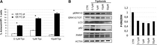 Figure 6. Tipifarnib treatment provoked RAS inhibition and induces apoptosis of t(6;11)-rearranged primary cells. (A) The t(6;11) primary cell cultures treated with increasing concentration of tipifarnib showed an accentuated induction of apoptosis (percentage of Annexin V/propidium iodide-positive cells), especially with increasing drug concentrations with respect to primary AML cultures with different MLL-translocation. (B) (Left) WB analysis showed p-ERK1/2 reduced levels during increasingly tipifarnib treatment. LC3 and p62 documented autophagy induction at low tipifarnib doses, whereas PARP cleavage confirmed apoptosis when higher doses of tipifarnib was used. Anti-ACTIN was used as positive control for protein amount. (Right) Histogram represented the ratio between p-ERK and total ERK: a reduction of p-ERK was visible after tipifarnib treatment at any concentration.