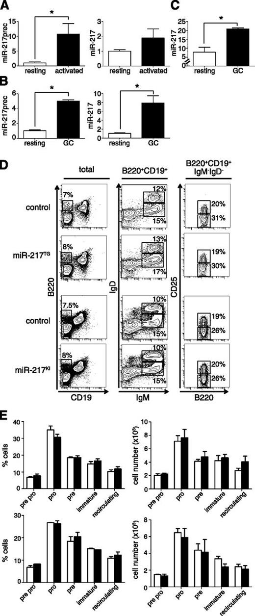 Figure 1. miR-217 expression is upregulated in activated B cells. (A) qRT-PCR analysis of the expression of the (left) miR-217 precursor and (right) mature miR-217 in B cells after 1 (open bars) and 3 days (filled bars) of activation with LPS + IL4. Data from 3 (miR-217 precursor) and 2 (mature miR-217) independent experiments are shown (P = .05 for miR-217 precursor and P = .27 for miR-217). Each experiment was performed with 2 individual mice. (B) qRT-PCR of the (left) miR-217 precursor and (right) mature miR-217 in resting (open bars) or GC (filled bars) B cells isolated from spleens of wild-type C57BL/6 mice 10 days after immunization with sheep red blood cells. Data are means ± standard deviation from 2 independent experiments with 10 total immunized mice (P = .0002 for miR-217 precursor and P = .01 for miR-217). Two-tailed Student t test: P values: *P < .05. (C) Quantification of miR-217 expression in human resting (CD19+CD27−IgD−) and GC (CD19+CD10+) samples as measured by miRNA array hybridization (data were obtained from GSE29493, P = .003, 2-tailed Student t test). (D) Representative fluorescence-activated cell sorter (FACS) analysis of bone marrow from miR-217TG, miR-217KI and littermate control mice. Plots show the expression of (left) B220/CD19 in total live lymphocytes, (center) IgD/IgM gated in B220+CD19+ cells, and (right) CD25/B220 gated in B220+CD19+IgM−IgD− cells. The proportion of cells is indicated in each gated in B220+ cells. (E) Quantification of the proportions and absolute cell numbers of developing bone marrow B-cell subsets in control (open bars), (upper) miR-217TG (filled bars), and (lower) miR-217KI mice (filled bars). The proportions of different B-cell subsets were quantified within the B220+ population.