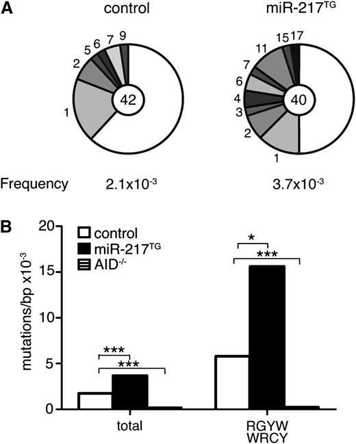 Figure 3. miR-217 expression in B cells enhances SHM. (A-B) Quantification of mutations in the JH4 intronic sequence of GC (Fas+GL7+) B cells isolated from pooled Peyer’s patches of 6 control and 6 miR-217TG mice: (A) Sanger sequencing. Segment sizes in the pie charts are proportional to the number of sequences carrying the number of mutations indicated at the periphery. Mutation frequencies are indicated below each chart, and the total numbers of independent sequences analyzed are indicated in the chart centers. Statistical significance was determined by a 2-tailed Student t test (P = .028). (B) NGS quantification of the total JH4 mutation frequency and of the mutation frequency at cytosines within the RGYW/WRCY AID hotspots in JH4 sequences in GC B cells from control (open bars) and miR-217TG mice (filled bars). The mutation frequency in the JH4 sequence of AID−/− splenic B cells is shown in hatched bars. A total of 300 000 kb/genotype was sequenced. Statistical significance of the mean mutation frequency at each position was determined by a paired Student t test (P = 1.9 × 10−9 for total mutation frequency and P = .002 for mutation frequency at WRCY hotspots).