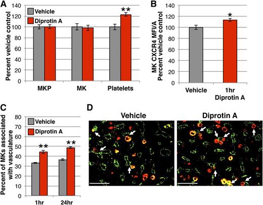 Figure 2. Native SDF-1 enhances MKs in the vascular niche and increases circulating platelets. (A) MKP, MK, and platelet kinetics 24 hours after 1.7 mg (5 μmol) intraperitoneal Diprotin A (red) or vehicle control (gray). Stabilization of SDF-1 with Diprotin A acutely increases circulating platelets with no change in MK or MKP number in the marrow. MKP (colony assay) and MK (imaging flow cytometry) numbers are normalized to per femur values and all compartments expressed as percent of vehicle control. Mean absolute numbers for vehicle controls: 11 593 MKP/femur, 49 856 MK/femur, 436 × 103 platelets/μL. (B) MFI/A of surface CXCR4 on primary MKs by imaging flow cytometry of flushed marrow samples prepared 1 hour after treatment with Diprotin A (red) or vehicle control (gray). (C) Quantification of Gp1Bβ+ MKs physically associated with MECA32+ vessels by IHC 1 hour and 24 hours following treatment with Diprotin A (red) or vehicle (gray). Diprotin A-mediated stabilization of SDF-1 acutely increases MK association with the vasculature. (D) Representative images of femoral marrow IHC for Gp1Bβ (MKs, red) and MECA32 (vascular endothelium, green) 24 hours after administration of vehicle (left panel) or Diprotin A (right panel). White arrows indicate examples of MKs physically associated with MECA32+ vessels. Images were processed as described in the “Immunohistochemistry” section. Error bars represent standard error of the mean of ≥3 independent experiments (n = 7-8 total mice per group). Statistical analyses comparing Diprotin A to vehicle controls were performed using a 2-tailed Student’s t test. Bar represents 100 μm (D). *P < .02; **P < .003.