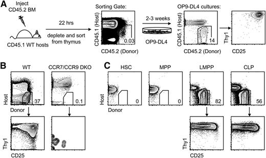 Figure 1. LMPP and CLP populations contain thymic settling progenitors. (A) Schematic for experimental design of short-term homing assay. BM cells (CD45.2) were intravenously injected into congenically marked recipients (CD45.1). Twenty-two hours later, thymi were harvested from recipient mice, and donor cells were sorted and plated on OP9-DL4 cultures in the presence of IL-7 and Flt3 ligand. Cocultures were analyzed 2 to 3 weeks later. (B) Short-term homing assay of WT LMPPs or CCR7/CCR9 double knockout LMPPs intravenously injected into WT recipients (n = 2; P < .05 using Fisher’s exact test). (C) Short-term homing assay of HSCs, MPPs, LMPPs, and CLPs sorted from WT mice. Each population was intravenously injected into WT recipients. Cocultures were analyzed 2 to 3 weeks later (n = 3; P < .05 using Fisher’s exact test).