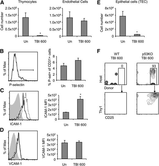 Figure 4. Homing molecules on endothelial cells continue to be expressed after irradiation. Thymi were harvested from unirradiated mice and mice that had been irradiated with 600 cGy 24 hours prior. (A) Total thymic cellularity was enumerated. Enumeration of endothelial cells was determined by flow cytometric analysis of the CD45−CD31+ population (n = 3). (B) P-selectin, (C) ICAM-1, and (D) VCAM-1 expression was determined on CD31+ endothelial cells by flow cytometry. Shown are histograms gated on unirradiated CD45+ cells (gray), unirradiated CD31+ cells (solid black line), and irradiated CD31+ (dotted black line) (n = 3). Gating for P-selectin was established previously with P-selectin knockout mice. Data are represented as mean ± SEM. *P < .05 compared with unirradiated using the Student t test. (E) Enumeration of epithelial cells was determined by flow cytometric analysis of the CD45−EpCam+ TEC population (n = 3). (F) Short-term homing assay of WT cells into congenic irradiated WT or p53-deficient recipients (n = 2; P < .05 using Fisher’s exact test). Representative flow cytometric plots of cocultures are shown.
