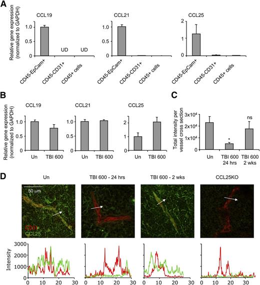 Figure 5. Chemokine levels on thymic endothelial cells are reduced after irradiation. (A) Unirradiated thymi were sorted into CD45−EpCam+ TECs, CD45−CD31+ endothelial cells, and CD45+ cells (n = 3). Each population was analyzed for CCL19, CCL21, and CCL25 mRNA expression by qPCR and normalized to glyceraldehyde-3-phosphate dehydrogenase. (B) CD45−EpCam+ cells were sorted from unirradiated mice or mice that had received 600 cGy of irradiation 24 hours prior (n = 3). RT-PCR of CCL21, CCL19, and CCL25 expression was normalized to glyceraldehyde-3-phosphate dehydrogenase and quantified relative to the unirradiated control. (C-D) Sections (10 μm) were taken from frozen thymi of untreated WT, TBI 600 cGy (24 hours), TBI 600 cGy (2 weeks), and CCL25-deficient mice and stained with antibodies to CD31 (red) and CCL25 (green). Intensities of cross sections were taken across blood vessels (n = 3). Representative microscopy sections are shown. Plot profile (white arrow) of intensities in each channel was generated in Image J and superimposed. Data are represented as mean ± SEM. *P < .05 compared with unirradiated using the Student t test.