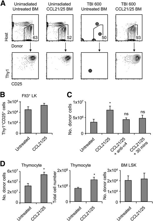 Figure 6. Pretreatment with CCL21/CCL25 rescues homing to the thymus after irradiation. (A) BM was incubated with PBS or CCL21 and CCL25 for 30 minutes at 37°C. Pretreated BM cells (107) were injected into unirradiated recipients or mice that had received 600 cGy TBI for the short-term homing assay (n = 3). Representative flow cytometric plots of cocultures are shown. P < .05 using Fisher’s exact test. (B) One hundred sorted Flt3+LK cells pretreated with CCL21 and CCL25 for 30 minutes were grown on OP9D4 in the presence of IL7 and Flt3. Cocultures were analyzed by flow cytometry after 10 days. Number of Thy1+CD25+ cells are shown. (C) BM was incubated with blocking anti-α4 prior to pretreatment or CCL21/CCL25 was washed from the cells following pretreatment and left for 30 minutes at 37°C. After 14 days, thymi were examined for donor reconstitution by flow cytometry (n = 3). (D) After 16 days, BM and thymi from PBS or pretreated groups were examined for total thymocyte numbers and donor reconstitution by flow cytometry (n = 3). Data are represented as mean ± SEM. *P < .05 compared with untreated using the Student t test.