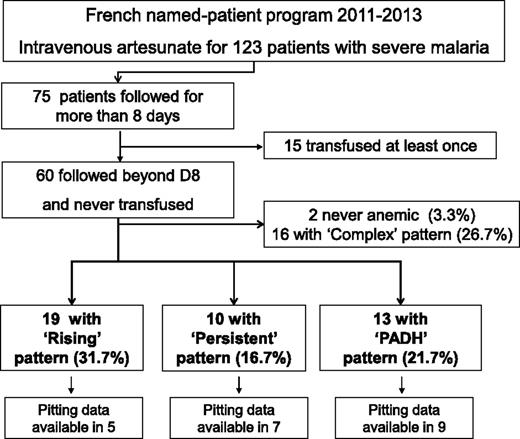 Figure 1. Program flowchart. Named-patient program 2011-2013; 123 patients with severe malaria treated with artesunate. D, day.