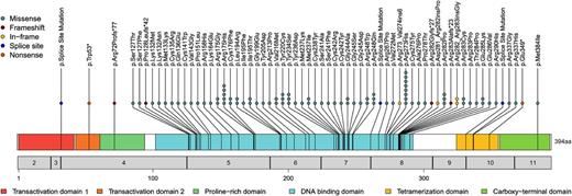 Figure 1. Location, frequency, and type of TP53 mutations in ALL. The locations and mutation types are depicted. Each circle represents a detected mutation. Numbers in the gray bar denote the respective exon, and numbers below correlate to the amino acid sequence. Functional TP53 domains are color-coded.
