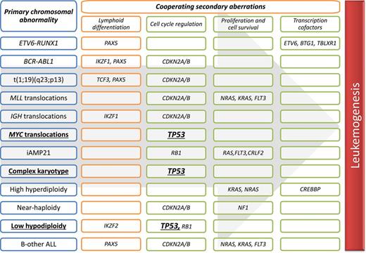 Overview of key cooperating mutations in relation to distinct genetic subtypes of B-cell precursor ALL.