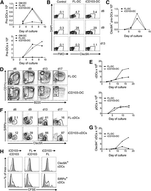 Figure 4. GM-CSF supernatant selectively promotes the differentiation and homeostasis of CD103+ DCs. Equal numbers of CFSE-labeled BM cells were plated to establish GM-DC, FL-DC, and iCD103-DC cultures. Cells were harvested after 3, 6, 9, 13, or 17 days for flow cytometric analysis. On day 9, cells were harvested, CFSE-labeled, and replated at equal numbers. (A) Kinetics for total pro-DC numbers and pre-DC numbers are shown. (B) Representative plots display Clec9A expression among pre-DCs of FL-DC and iCD103-DC cultures over time. (C) Total numbers of Clec9A+ pre-DCs. (D) The percentages of CD11c+B220– cDCs are shown. (E) Total numbers of CD11c+B220– cDCs (upper graph) and CD11c+B220+ pDCs (lower graph) over time. (F) Clec9A vs SIRPα expression among CD11c+B220– cDCs is shown. (G) Absolute numbers of CD11c+B220–Clec9A+ cDCs. (H) FL-DCs and iCD103-DCs were harvested on day 9 and labeled with CFSE before replating for 4 days with either FLT3L (FL) or FLT3L and GM-CSF (iCD103). The upper panel shows CFSE signals of CD11c+B220–Clec9A+ cDCs, and the lower panel indicates CFSE signals of CD11c+B220–SIRPα+ cDCs within the same cultures (black lines). Cells cultured only in presence of FLT3L on both day 0 and day 9 are overlaid as gray histograms. Representative results show 1 of 2 independent experiments (A-H).
