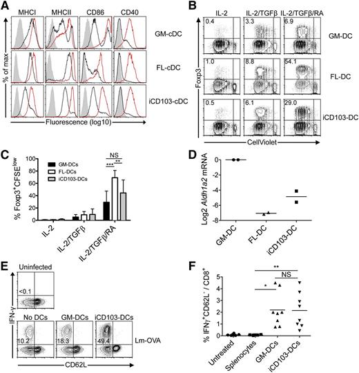 Figure 6. iCD103-DCs are not specialized to induce tolerance. (A) DC maturation marker expression among CD11c+ GM-DCs or CD11c+B220– FL-cDCs and CD11c+B220– iCD103-cDCs in the presence or absence of overnight CpG stimulation. Unstimulated (solid black lines), CpG-stimulated (solid red lines), and isotype control stainings (gray overlay) are shown. (B-C) CellViolet-labeled CD4+ Rag1−/− × OTII T cells were co-cultured with GM-DCs (upper panel), FL-DCs (middle panel), or iCD103-DCs (lower panel) in the presence of OVA323-339 peptide, IL-2, and combinations of TGFβ and RA. After 5 days, cells were analyzed by flow cytometry. (B) Plots display CellViolet dilution vs Foxp3 expression among CD4+ cells. (C) Quantification of proliferated Foxp3+ cells in different culture conditions. Mean + SD is shown. **P < .01, ***P < .001; NS, not significant; 2-way analysis of variance with Bonferroni’s post-test. (D) Relative Aldh1a2 expression among GM-DCs, FL-DCs, and iCD103-DCs is shown normalized to Hprt and GM-DCs. Results show 2 independent cDNA preparations. (E-F) Naïve WT mice were injected intravenously (IV) with equal numbers of OVA257-264-pulsed FACS-sorted CD11c+ GM-DCs or CD103hiCD11c+B220– iCD103-DCs. Mice were infected 8 days later IV with 5 × 103 colony-forming units (CFU) Lm-OVA. Seven days post infection, splenocytes were restimulated with OVA257-264 to determine the antigen-specific CD8+ T-cell response. (E) Representative plots display CD62L vs interferon (IFN)-γ expression among restimulated CD8+ T cells. (F) Quantification of IFN-γ–secreting CD8+ T cells. Results are representative of 2 to 5 (A), 4 (B), or 2 (D-F) independent experiments. Data were combined from 4 independent experiments with individual culture preparations (C) or 2 independent experiments with 4 to 5 mice per experimental group (F). *P < .05, **P < .005; NS, not significant; 2-tailed Mann-Whitney U test.