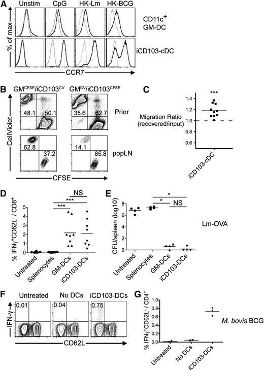 Figure 7. iCD103-DCs upregulate CCR7, efficiently enter lymph nodes, and induce protective T-cell immunity. (A) GM-DCs and iCD103-DCs were kept untreated (unstim) or were stimulated for 16 hours with CpG, heat-killed Listeria monocytogenes (HK-Lm), or heat-killed M bovis (HK-BCG). CCR7 expression is shown for live-gated CD11c+B220–CD103hi iCD103-cDCs and CD11c+ GM-DCs (black lines). Overlays indicate control stainings (gray lines). (B-C) GM-DCs were labeled with CFSE and mixed with CellViolet-labeled iCD103-DCs (GMCFSE/iCD103CV) or vice versa (GMCV/iCD103CFSE). (B) Flow cytometric analysis of DC mixtures before injection (upper panel) and recovered DCs from popliteal lymph nodes (popLN) 48 hours after subcutaneous injection in combination with CpG. (C) Migration ratio calculated as the frequency of labeled iCD103-DCs recovered from popLN (2 per mouse) after 48 hours over the initial frequency in the injected DC mixtures. A ratio of 1 indicates equivalent migration capacity of GM-DCs and iCD103-DCs. ***P = .001; 1-sample Student t test compared with value of 1.0. (D) iCD103-DCs and GM-DCs were stimulated and FACS-sorted as CD11c+B220–CD103hi or CD11c+ cells. DCs were then pulsed with OVA257-264 and OVA323-339 peptides, washed, and injected subcutaneously. Pulsed splenocytes served as a control. After 7 days, mice were bled and leukocytes were restimulated with OVA257-264 in the presence of Brefeldin A followed by flow cytometric analysis. The frequencies of CD62L–IFN-γ+ cells among CD8+ T cells are quantified. (E) Vaccinated mice were challenged on day 8 with a lethal dose of Lm-OVA (1 × 106 CFU) IV. CFUs in the spleen were determined 3 days later. (F-G) iCD103-DCs were stimulated with M bovis BCG and transferred subcutaneously into mice. Identically treated samples without DCs (No DCs) were injected as a control. Seven days later, splenocytes were restimulated with Ag85B240-254 and analyzed by flow cytometry. (F) Representative plots show CD62L vs IFN-γ expression among CD4+ live-gated cells. (G) Quantification of Ag85B240-254-specific IFN-γ–producing cells. Results are representative of or quantify 2 to 3 independent experiments (A), 2 independent experiments with 2 to 3 (B-C,F-G), 2 independent experiments with 4 to 5 (D), or 2 independent experiments with 1 to 4 (E) mice per group. **P < .01, **P < .001; NS, not significant; 2-tailed Mann-Whitney U test.