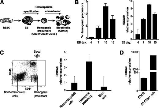 Figure 1. HOXA9 is expressed in the HEPs during differentiation of hESC. (A) Schema of hESC hematopoietic differentiation system based on EB formation. (B) Kinetics of the emergence of HEPs during the hematopoietic differentiation protocol (left). Time course expression of HOXA9 during EB hematopoietic development (right). The expression of endogenous HOXA9 correlates with the HEPs emergence throughout EB differentiation. (C) Quantitative polymerase chain reaction analysis in isolated cell populations demonstrating that HOXA9 expression is enriched in the HEP population. Gene expression is shown relative to nonhematopoietic cells. (D) A 60-fold reduction of HOXA9 expression on day 15 EB in comparison with definitive CB-CD34+ hematopoietic cells. Relative expression is shown normalized to undifferentiated hESCs. Data represent mean ± standard error of the mean for 3 independent experiments.