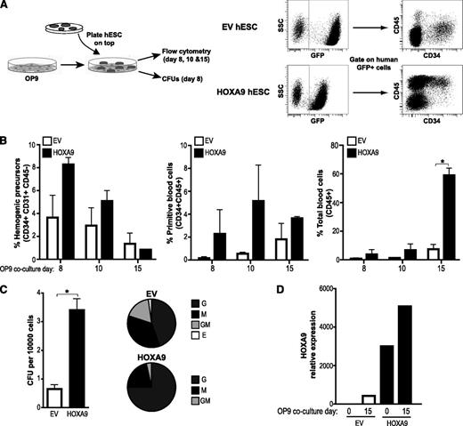 Figure 3. HOXA9 enhances hematopoietic differentiation of hESCs in OP9 coculture. (A) Schema of hESC hematopoietic differentiation system based on OP9 coculture and endpoint analysis (left panel). Representative flow cytometry displaying how HEPs (CD45−CD31+CD34+) and blood cells (CD45+/CD45+CD34+) are identified within the human GFP+ population (right panel). (B) Enforced expression of Hoxa9 enhances the differentiation into primitive blood cells (CD34+CD45+) and total blood cells (CD45+). (C) CFU read out from day 15 EBs confirms a significantly increase in hematopoietic clonogenic potential of the HOXA9-hESC blood derivatives. Scoring of CFU reveals a skew toward G-CFU in Hoxa9-transduced progenitors (right pie charts). (D) Ectopic Hoxa9 remains highly expressed throughout the differentiation. Relative expression is shown normalized to undifferentiated hESCs. Data are presented as mean ± standard error of the mean for 3 independent experiments. G, granulocyte; M, monocyte; GM, granulocyte-macrophage; E, erythroid.