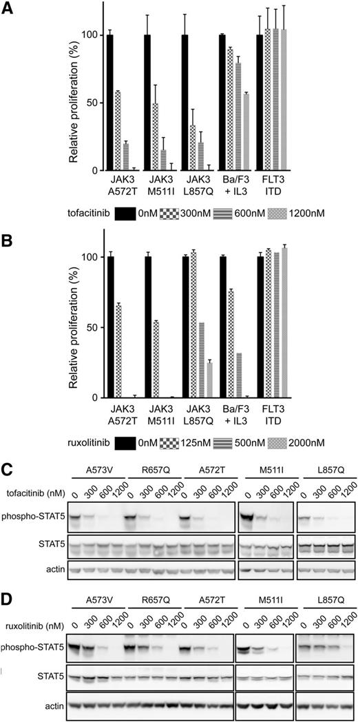 Figure 4. Cells dependent on JAK3 mutants are sensitive to JAK3 and JAK1 inhibition. (A-B) Relative proliferation of Ba/F3 cells transformed by JAK3 mutants or FLT3 ITD or wild-type Ba/F3 cells stimulated with IL3 after treatment with tofacitinib or ruxolitinib, respectively. Proliferation was compared with proliferation of cells after vehicle (DMSO) treatment. Full dose-response curves for all JAK3 mutants are shown in the supplemental material (supplemental Figures 3-6). (C-D) Western blot analysis of Ba/F3 cells expressing JAK3 mutants after 90 minutes of treatment with tofacitinib or ruxolitinib.