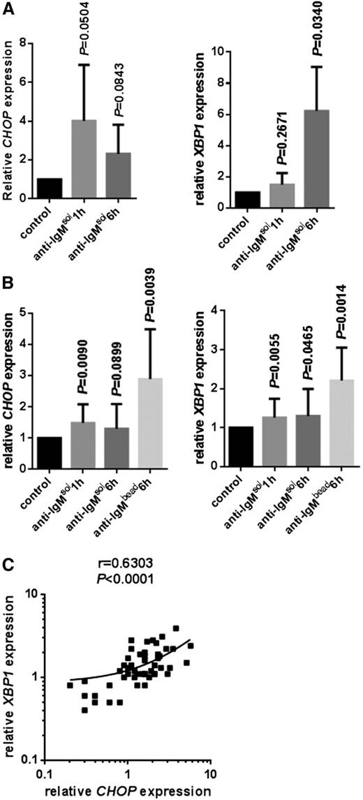 Figure 4. Regulation of CHOP and XBP1 RNA expression by anti-IgM. (A) Normal B cells and (B) CLL samples were stimulated with soluble (sol) or bead-bound (bead) anti-IgM for 1 or 6 hours, and expression of CHOP and XBP1 RNAs was analyzed by qPCR. Expression values were normalized so that the average value in control normal and CLL cells was set to 1.0. Graphs show mean values ± standard deviation for data obtained with 6 or 4 preparations of normal B cells (for CHOP and XBP1 analysis, respectively). For experiments with CLL, 15 samples were used to compare responses between soluble anti-IgM at 1 and 6 hours, and 10 further samples were used to compare responses to soluble and bead-bound anti-IgM. The statistical significance of differences between treated and control cells are shown for each condition (Student t test). (C) Correlation between fold induction of XBP1 and CHOP RNAs in soluble/bead-bound anti-IgM–treated CLL samples (1- and 6-hour data combined; linear regression and Spearman correlation shown).