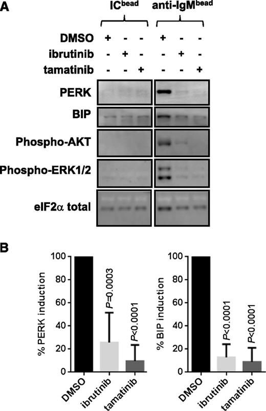 Figure 7. Effect of signaling inhibitors on anti-IgM–induced UPR activation. Cells were pretreated with dimethylsulfoxide, ibrutinib, or tamatinib for 30 minutes before being stimulated with bead-bound anti-IgM or control antibodies. Expression of PERK, BIP, phosphorylated ERK1/2, and phosphorylated AKT was analyzed at 24 hours. (A) Representative immunoblots. (B) Quantitation of results for all samples (n = 6 for ibrutinib and tamatinib). Graphs show inhibition of PERK/BIP expression with anti-IgM/dimethylsulfoxide–treated cells set to 100%. The statistical significance of differences between control and compound-treated control cells is shown (Student t test).