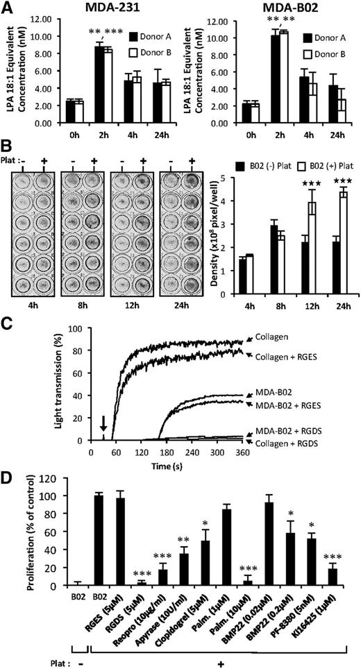 Figure 2. Tumor cells induced ATX secretion by platelets and the formation of bioactive LPA. (A) LPA production during passive coculture of breast cancer cells and human platelets. Adherent MDA-MB-231 (left) and MDA-B02 (right) cells were incubated for up to 24 hours in the presence of human platelets from 2 different donors. Data are expressed as mean fluorescence ratio value for each concentration, normalized to the percentage of LPA 18:1 response (**P < .01; ***P < .001; vs cancer cells at 0 hours using 1-way ANOVA with a Bonferroni posttest). (B) Adherent MDA-B02 cells were incubated in the presence (+) or absence (−) of human platelets in serum-free Ham’s F-12K medium with endogenous Mg2+ (2.1 mM). Cell proliferation was assessed by densitometry analysis after cell staining with crystal violet (left). Data are expressed as mean density (± SD) of 6 replicates and are representative of 3 experiments (right). (***P < .001; vs MDA-BO2 (−) platelets using 2-way ANOVA with a Bonferroni posttest). (C) Platelet aggregation was stimulated by collagen (10 μg/mL) or by tumor cells (B02) (106 cells) at the time indicated by the arrow, in presence or absence of peptides. RGDS or RGES (100 μM) were added prior to the addition of collagen or tumor cells. Platelet aggregation was recorded over time as the percentage of light transmission. (D) Effects of inhibitors of platelet aggregation (RGDS, ReoPro, apyrase, and clopidogrel), phospholipase A1/2 activity (palmostatin B), lysoPLD activity (RG3-39 and PF-8380), and antagonist of LPA1/3 receptor (Ki16425) on platelet-induced MDA-BO2 cell proliferation. MDA-BO2 cells were incubated for 12 hours in the presence (+) or absence (−) of human platelets. Culture media were supplemented with the indicated compounds. Data represent proliferation as the percentage of control (MDA-B02+Plat) (± SEM) of 6 replicates from 3 independent experiments (*P < .05; **P < .01; ***P < .001; vs MDA-BO2 (+) platelets using 1-way ANOVA with a Bonferroni posttest). Plat, platelets.
