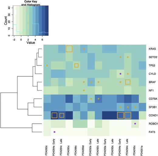 Figure 3. Frequently mutated genes are expressed in MM patient samples. Hierarchical clustering across all 14 samples based upon gene expression of our previously identified, frequently mutated genes was performed. Only those genes with at least 1 mutation in our RNA sequenced subset of 14 samples are shown. The presence of a mutation in a gene with FPKM >3 is denoted by an orange square and genes with an FPKM <3 is denoted with a purple square. The size of the square reflects the frequency of the mutant allele as compared with the WT within our RNA-seq data. A histogram of log FPKM is displayed in the upper left corner to illustrate the distribution of the logarithm of gene expression levels across patients and the genes displayed in the figure.