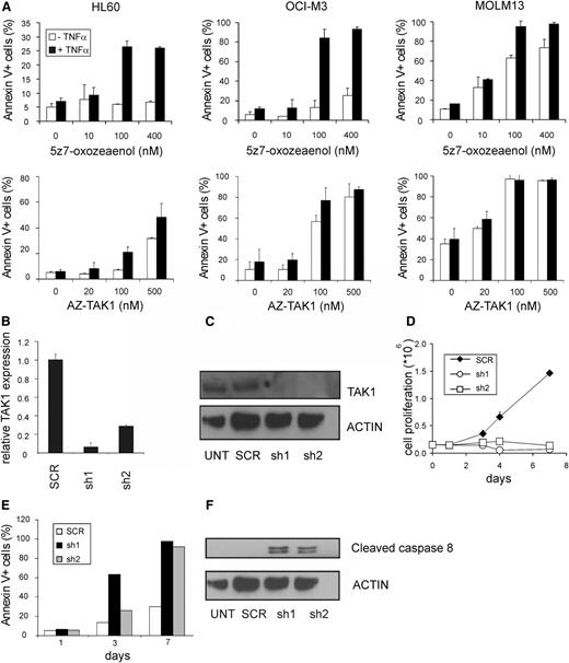 Figure 2. TAK1 inhibition induces apoptosis in AML cells. (A) HL60, OCI-M3, and MOLM13 cells were incubated with various concentrations of TAK1 inhibitors 5z-7-oxozeaenol and AZ-TAK1, alone, or in combination with TNFα, and apoptosis was quantified by using annexin V staining. (B) Relative expression of TAK1 in HL60 cells using 2 independent hairpins targeting TAK1. (C) Relative TAK1 protein expression of short hairpin TAK1 (shTAK1) or scrambled transduced HL60 cells. (D) Cell growth of MOLM13 cells transduced with TAK1 hairpins or scrambled hairpin. (E) Annexin V staining of the shTAK1 or scrambled transduced MOLM13 cells. (F) Cleaved caspase-8 protein expression of shTAK1 and scrambled transduced HL60 cells at day 1 after transduction. UNT, untransduced.