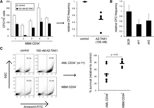 Figure 5. Difference in sensitivity to TAK1 inhibition between NBM CD34+ cells and AML CD34+ cells. (A) NBM CD34+ cells (n = 5) were incubated with 100 nM AZ-TAK1 for 24 hours and after 2 weeks CFCs were determined. (B) Cord blood CD34+ cells were transduced with hairpins targeting TAK1; after 2 weeks, CFCs were determined. (C) AML CD34+ cells (n = 8) and NBM CD34+ cells (n = 6) were incubated with 100 nM AZ-TAK1; after 24 hours cell death was quantified by annexin V staining.