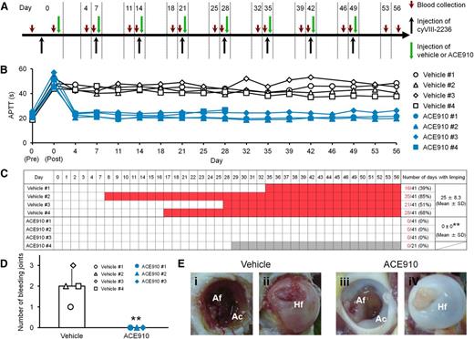 Figure 3. Preventive effects of ACE910 on spontaneous joint bleeds in a long-term primate model of acquired hemophilia A. (A) Experimental protocol used for evaluating preventive effects of ACE910 in a long-term hemophilia A model induced by the weekly IV doses of 10 mg/kg cyVIII-2236. The 8 cynomolgus monkeys received weekly IV injections of cyVIII-2236 on days 0, 7, 14, 21, 28, 35, 42, and 49. ACE910 was administered as an initial 3.97 mg/kg SC dose 2 hours after cyVIII-2236 injection on day 0, and thereafter as a weekly 1 mg/kg SC dose on days 7, 14, 21, 28, 35, 42, and 49. Citrated blood was collected on days 0, 4, 7, 11, 14, 18, 21, 25, 28, 32, 35, 39, 42, 46, 49, 53, and 56 (before and 2 hours after cyVIII-2236 injection on day 0; just before cyVIII-2236, vehicle, and ACE910 injections on days 7, 14, 21, 28, 35, 42, and 49). (B) The time courses of APTT are shown as individual values for respective cynomolgus monkeys (#1-4) of the vehicle and ACE910 groups. The APTT of the vehicle #3 monkey on day 46 was not determined due to a handling failure. (C) The days in which limping was observed are shown in red for the individual cynomolgus monkeys. The gray boxes indicate that no data are available because the ACE910 #4 monkey was killed for humane reasons on day 28 (See “Results”). The number of days with limping (C) and the number of bleeding joints at necropsy (D) are shown as individual values (#1-4) and as means ± SD in the vehicle group (n = 4) and the ACE910 group (n = 3). **P < .01 indicates significant differences from the vehicle group (2-tailed Student t test). (E) Representative macroscopic findings of the joints at necropsy. Left hip joint with limping in the vehicle #1 monkey; dark-red area in the Af (i) and Hf (ii) is detected. Left hip joint without limping in the ACE910 #3 monkey; no abnormalities are noted in the Af (iii) and Hf (iv). Ac, acetabulum; Af, acetabular fossa; Hf, head of femur.
