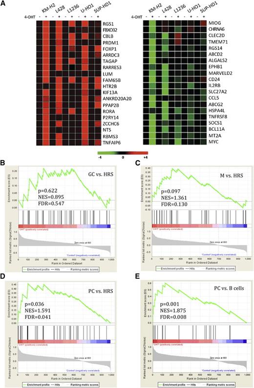 Figure 1. FOXO1 significantly activates PC signature in cHL cell lines. cHL cell lines stably expressing FOXO1(A3)ER were harvested 24 hours after treatment with 4-OHT or with vehicle. (A) Heat-map representation of the top 20 upregulated (red) and downregulated (green) genes. (B-E) Gene set enrichment analysis of genes modulated by FOXO1 in cHL cell lines. The enrichment score was calculated by a running sum statistic (green line). It increases when a gene of a gene signature (vertical black bar) is encountered by walking down the ranked list obtained by our GEP. The higher the correlation of the gene with the phenotype, the higher the increment.34 (B) FOXO1 does not significantly enrich GC signature in cHL cell lines. (C) Enrichment of memory B-cell (M) signature. (D) Enrichment of signature of genes expressed fivefold higher in PCs than in HRS cells. (E) Enrichment of the PC signature. FDR, false discovery rate; NES, normalized enrichment scores.