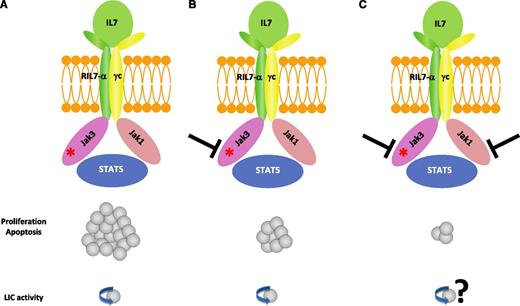 IL7R complex as a driver of T-ALL oncogenesis and a therapeutic target. (A) JAK3 mutations cause T-ALL and may or may not require JAK1 depending on whether the mutation affects the pseudokinase or the kinase domain of JAK3, respectively. JAK3 mutations require the cytokine receptor complex for transformation. (B) JAK3 inhibition can reduce the leukemic burden but could not eradicate the leukemia-initiating cells. (C) Cotargeting JAK1 and JAK3 demonstrated synergistic inhibition on the leukemic burden.