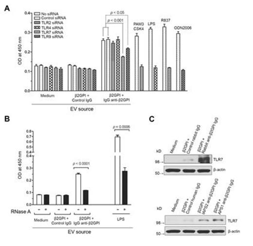 Figure 1. Figure: (A) Effect of siRNA to TLR siRNA on endothelial cell activation, (B) Effect of RNase treatment of EV on endothelial cell activation, (C) anti-β2GPI antibodies induce endothelial cell TLR7 expression.