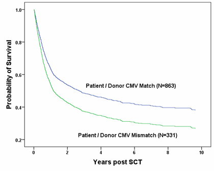 Figure 1:. Adjusted survival curves showing the impact of CMV matching on overall survival