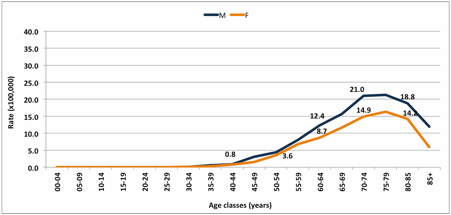 Figure 1. Crude incidence rates by age class and gender, expressed x 100,000 Lombardy inhabitants.