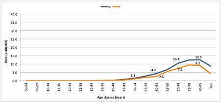 Figure 2. Crude mortality rates by age class and gender, expressed x 100,000 Lombardy inhabitants.