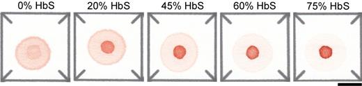 Figure 1:.