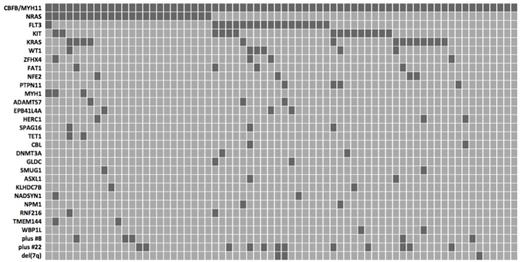 Figure 1:. Frequency distribution of mutations in 68 cases of CBFB/MYH11-rearranged AML